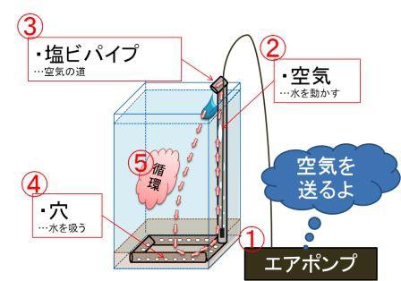 水槽の仕組み（底面濾過）
