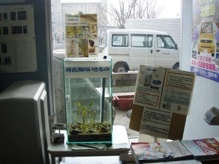 水槽ブース（内灘町役場一階ロビー）