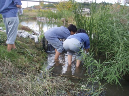 手作業の地道な作業です。