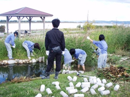 雑草が繁茂しています。