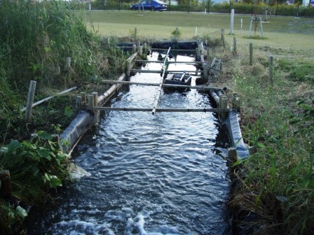 草刈後の水路。