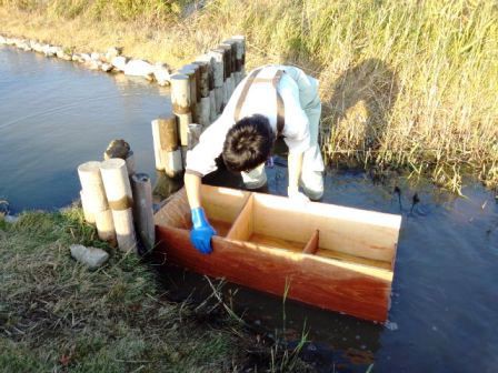 魚道に水路の水が満たされ始めました。