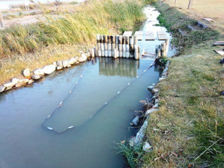 かかりますように。