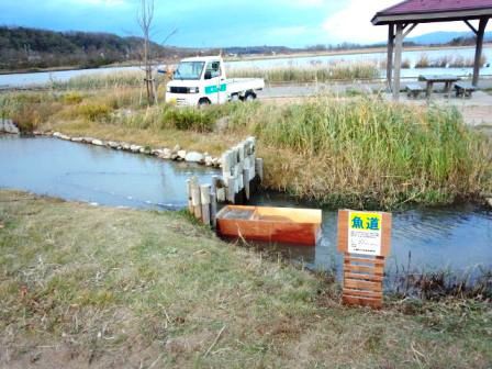魚道と看板。